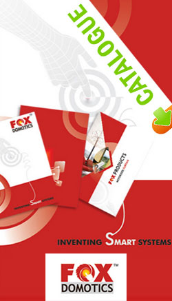 Brand Identity Fox Domotics