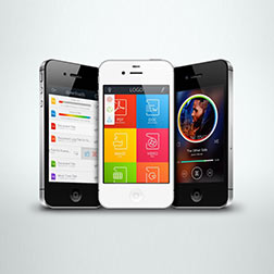 Mobile Application Development Mobile Application Development