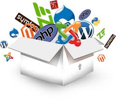 web portal development solution