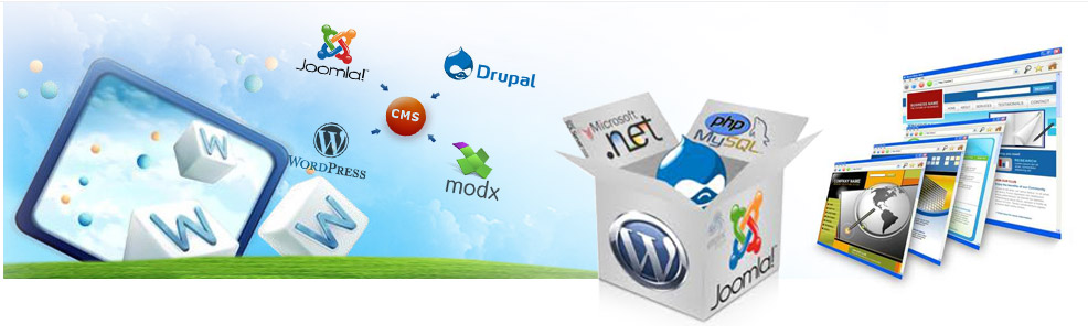 web portal development